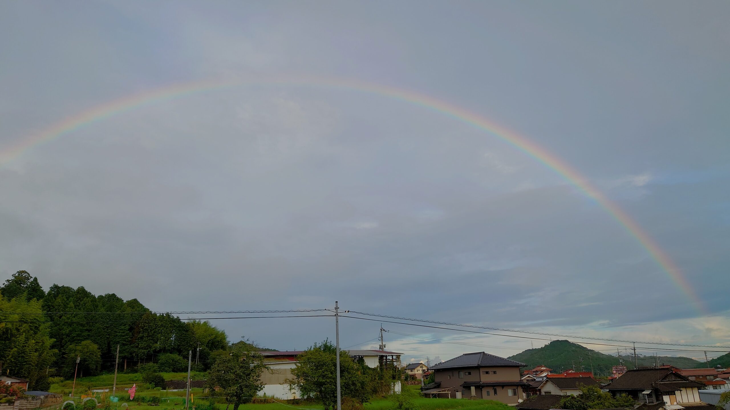 今日見た虹