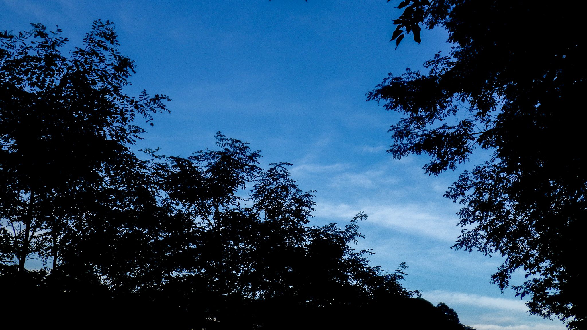 久しぶりの青空